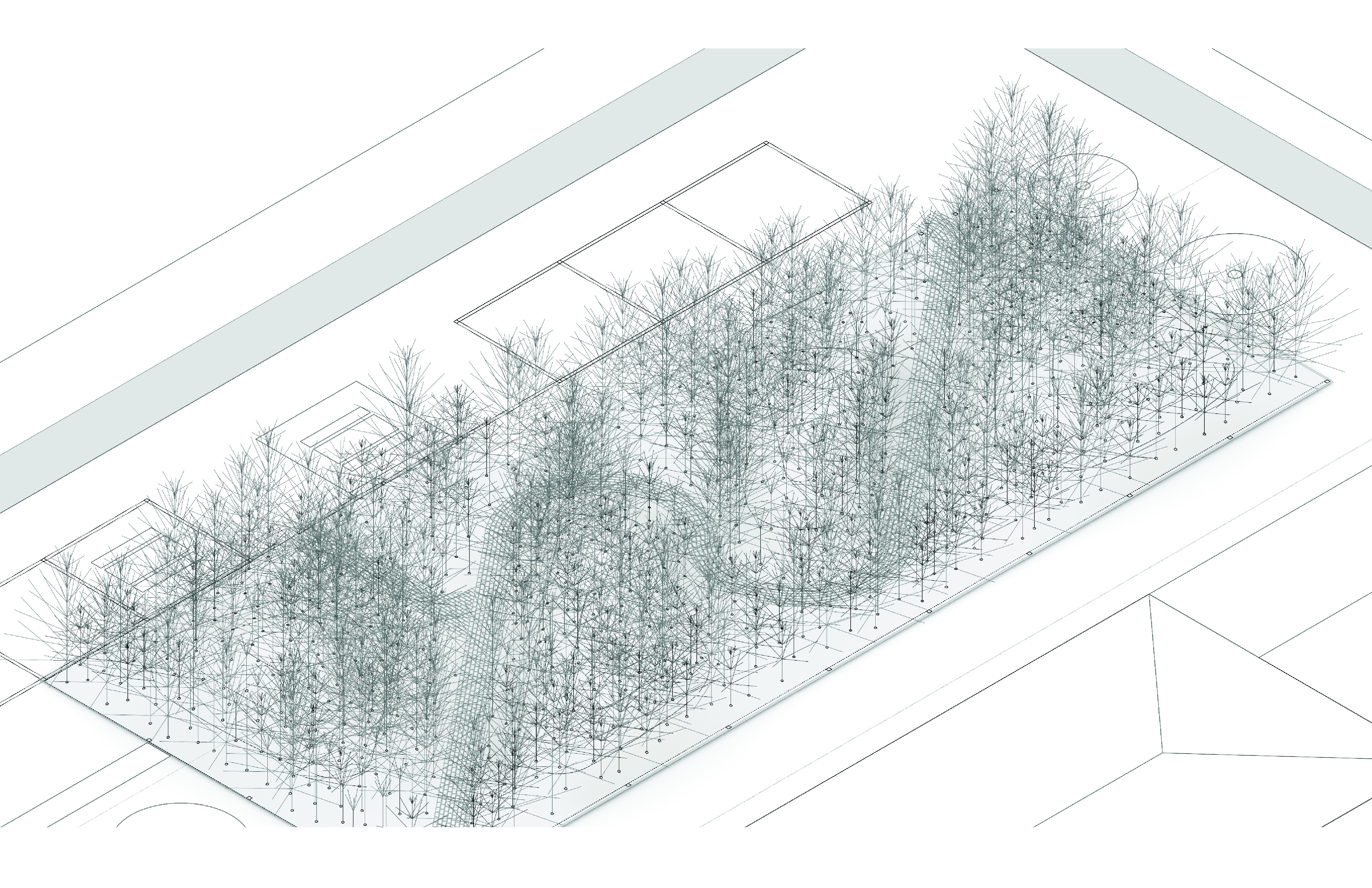 A showcase of the Miyawaki Method © Chair of Being Alive 2024