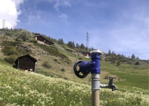 Sprinkler head and flowering hay meadow in Törbel, May 2025. © ETH Zürich, Nicole de Lalouvière